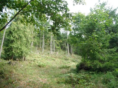 0 Fisk Rd E unit 693308, Orting, WA 98360 - photo 2