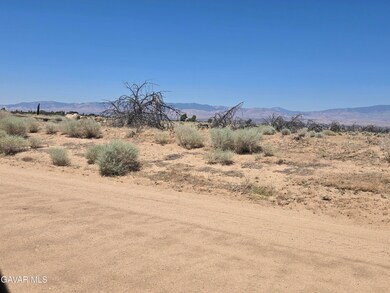 Ave E8 Vic 177 Stw, Fairmont, CA 93536 - photo 4