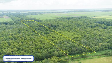 Tbd E Admiral Doyle, New Iberia, LA 70560 - photo 5