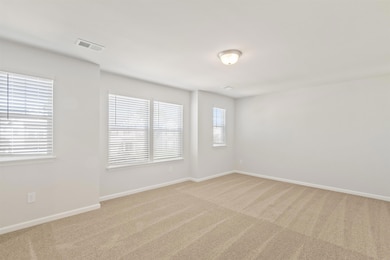 4029 Francis Spring Way, Inman, SC 29349 - photo 4