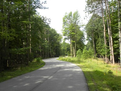 DSCN0071