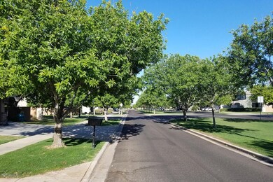 Tree-lined streets
