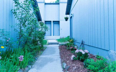 Summer Exterior