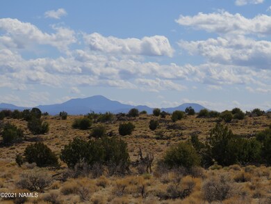 10424 W Line Cook Trail, Williams, AZ 86046 - photo 5