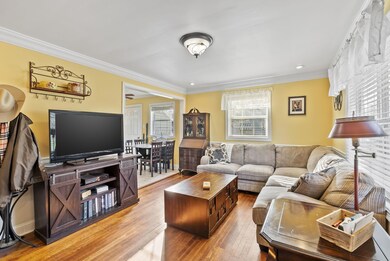 6-web-or-mls-DSC03736