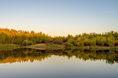 SHR - Pond