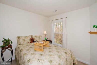 10207 Brighton Ridge Way, Columbia, MD 21044 - photo 7