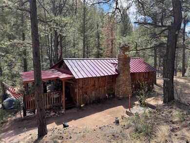 15751 S Elk Creek Rd, Pine, CO 80470 - photo 2