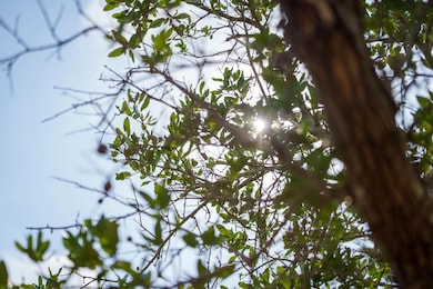 704 Highway 35 S, Rockport, TX 78382 - photo 2