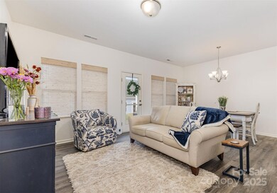 50113 Robins Nest Ln, Lancaster, SC 29720 - photo 7