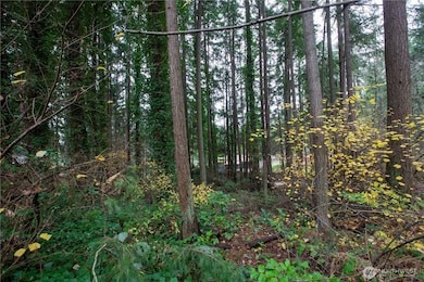 6493 20th Ave SE, Lacey, WA 98503 - photo 3