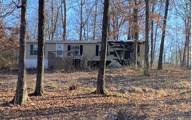 935 Sumach Church Rd, Chatsworth, GA 30705 - photo 3