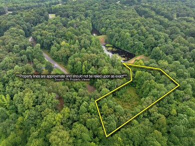 255 Jason Hollow Rd, Cedar Grove, TN 38321 - photo 4