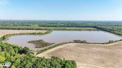 0 Daniel Glover Rd, Lonoke, AR 72086 - photo 6