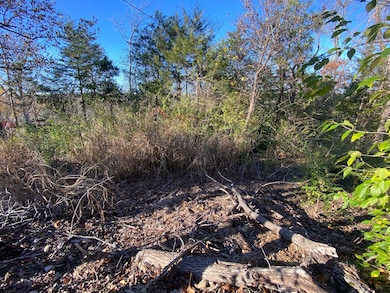 0 E Redbud St, Springfield, MO 65804 - photo 4