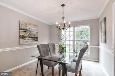 4011 Blue Slate Dr, Alexandria, VA 22306 - photo 5