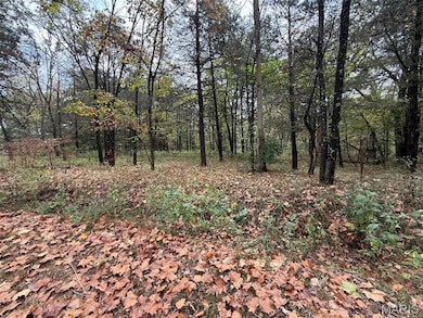 24900 Highway 32, Belleview, MO 63623 - photo 4