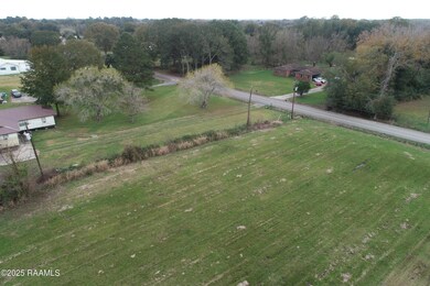 DJI_0687