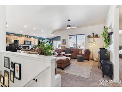 4507 Moose St, Johnstown, CO 80534 - photo 7