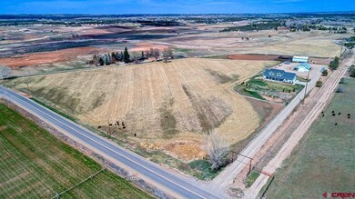 23971 Road N, Cortez, CO 81321 - photo 4