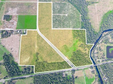 2485 S Florida Ave, Wauchula, FL 33873 - photo 2