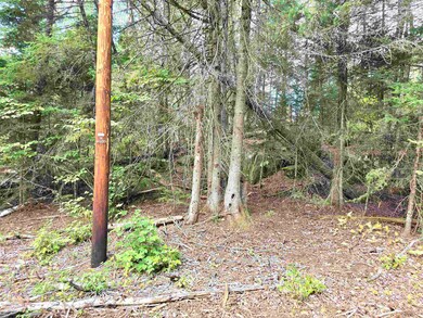 0 Cricket Lane Rd unit 10 & 11 5000689, Colebrook, NH 03576 - photo 5