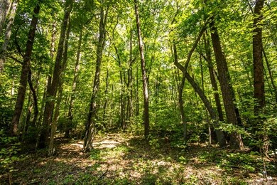 Wooded 5 Acre Lot