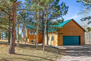 162 Ridge Top Dr, Divide, CO 80814 - photo 4