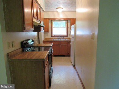 3404 Middle Cove Rd, Mathias, WV 26812 - photo 6