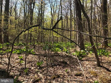 0 Etzler Rd unit MDFR2014238, Frederick, MD 21702 - photo 5