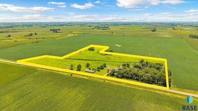 44543 291st St, Viborg, SD 57070 - photo 6