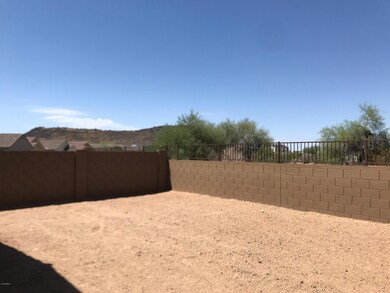 19 Backyard