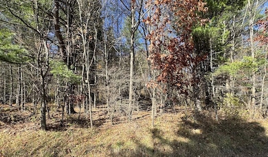 00 Stone Rd, Rose Township, PA 15825 - photo 4