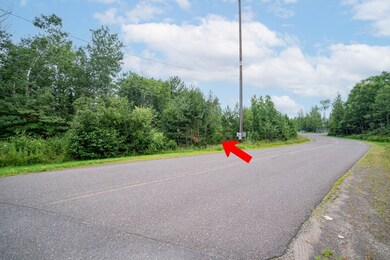 45xx unit Lot B1 Norway Pine, Hermantown, MN 55811 - photo 4