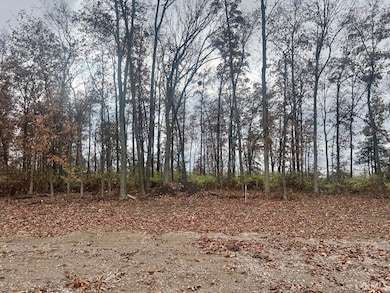 7007 S 200 E Lot 16 Rd, Lafayette, IN 47909 - photo 4