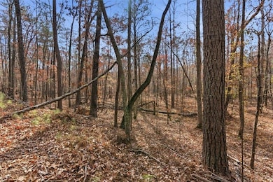 0 Flowery Branch Rd unit 7684237, Kingston, GA 30145 - photo 6