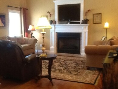 Gas Fireplace