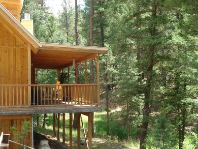 54 Big Bend Loop, Cloudcroft, NM 88317 - photo 3