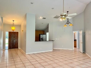 405 Arlington Ave E, Oldsmar, FL 34677 - photo 4