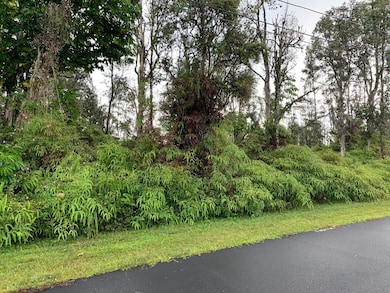 0 S Lai St unit 717712, Pahoa, HI 96778 - photo 2