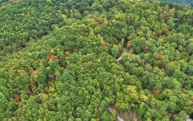 0 Laurel Ridge Way unit 297592, Cherry Log, GA 30522 - photo 4