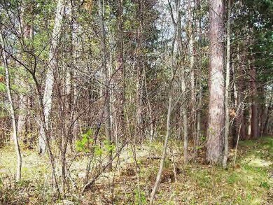 0 Hwy A unit 4662381, Webster, WI 54893 - photo 2