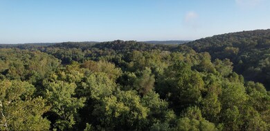 Parkway Dr, Saint Clair, MO 63077 - photo 6