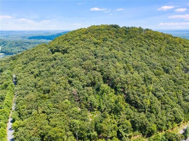 8267 Cox Mountain Ln, Jasper, GA 30143 - photo 5