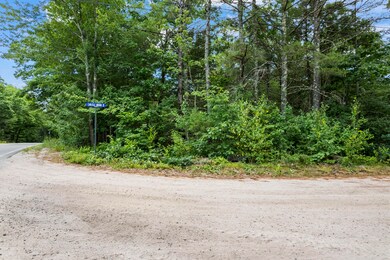 TBD Carlisle Brook Rd, Lyman, ME 04002 - photo 4
