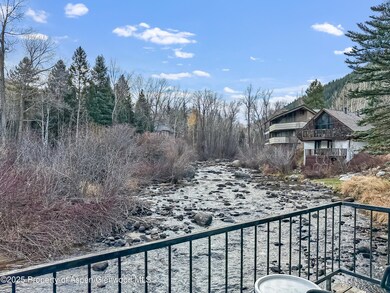 1050 Waters Ave unit 9, Aspen, CO 81611 - photo 5