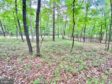 0 Lost River Ridge Cir unit WVHD2001560, Wardensville, WV 26851 - photo 7