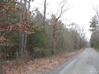 000 Valentine Mill Rd, Louisa, VA 23093 - photo 7