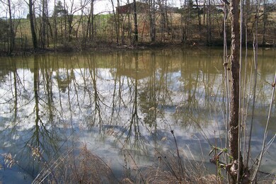 800 Goodbar Rd, Rock Island, TN 38581 - photo 5