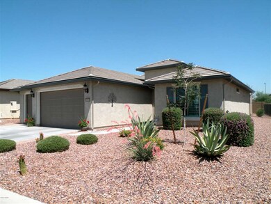 Front Yard